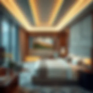 Magnificent Exploring Bed Space in DIP 1: A Comprehensive Analysis Magnificent Exploring Bed Space in DIP 1: A Comprehensive Analysis