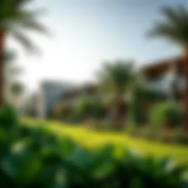 Beautiful Greenery at Acacia Dubai Hills Lush green spaces in the community