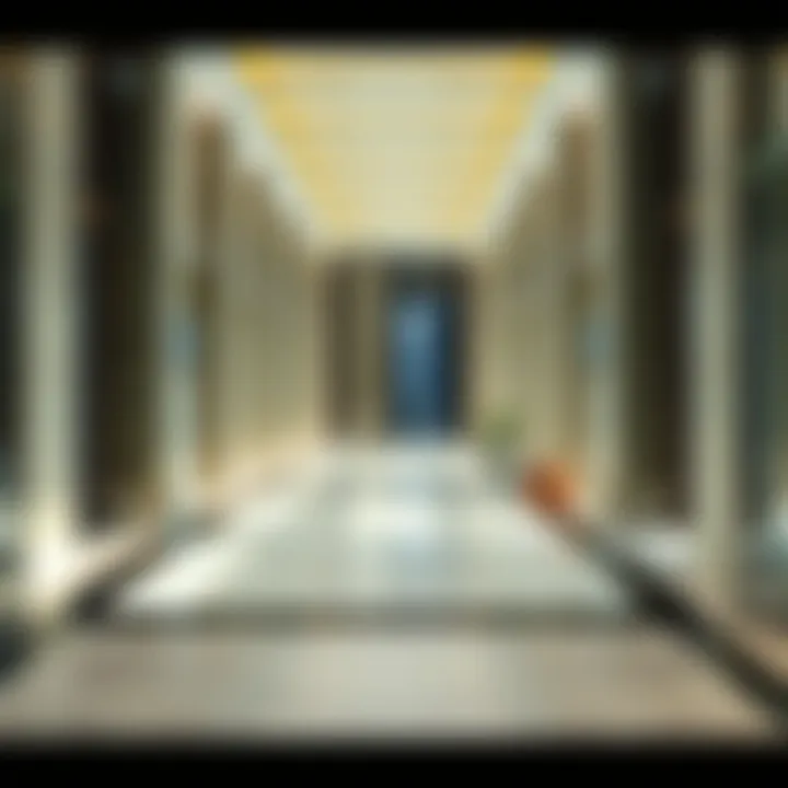 A visual guide to the essential requirements for obtaining a RERA license