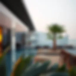 Chill Spots in Dubai: Exploring Tranquility Amidst the Urban Hustle Introduction