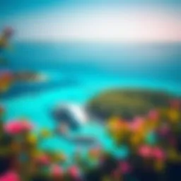 Aerial view of Coral Island showcasing its lush greenery and turquoise waters.