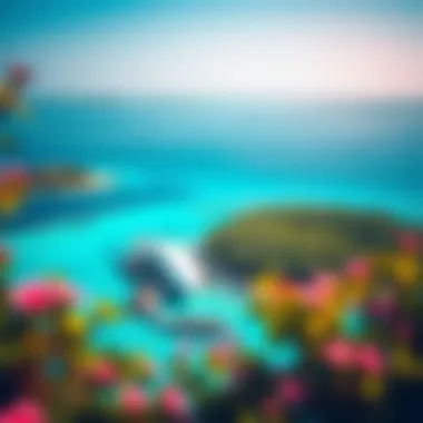 Aerial view of Coral Island showcasing its lush greenery and turquoise waters.