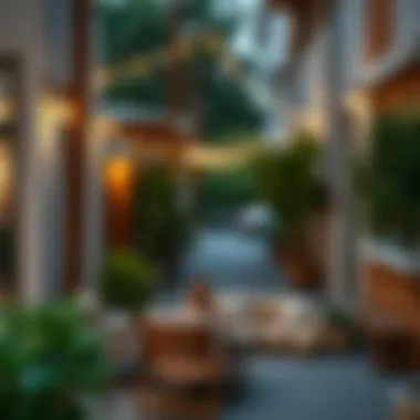 Community features of Liwan neighborhood