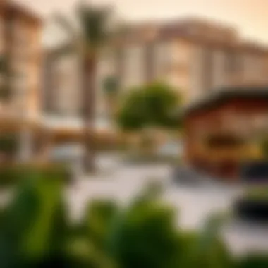 Vibrant local amenities and parks in Al Safa