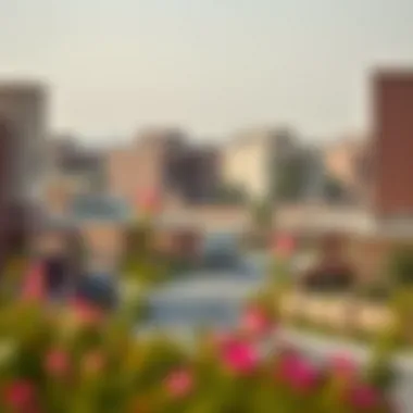 Vibrant Community near Al Waleed Holiday Homes Vibrant community surrounding Al Waleed Holiday Homes