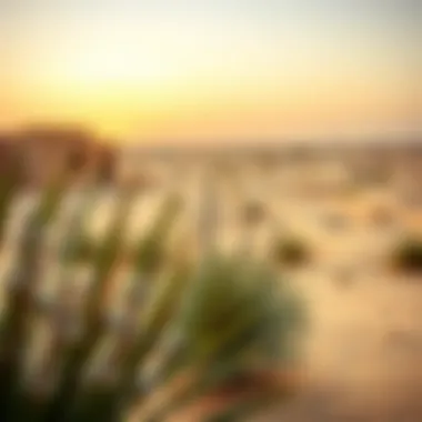 Dubai Desert: Nature's Tranquility The serene beauty of Dubai Desert Conservation Reserve