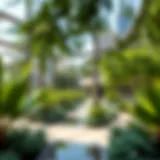 Lush greenery in a Dubai park showcasing urban planning.