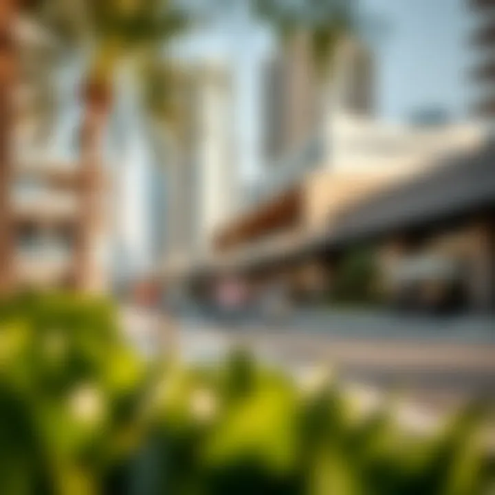 Cultural Dynamics in New Downtown Cultural and social dynamics of Dubai's New Downtown reflecting community engagement