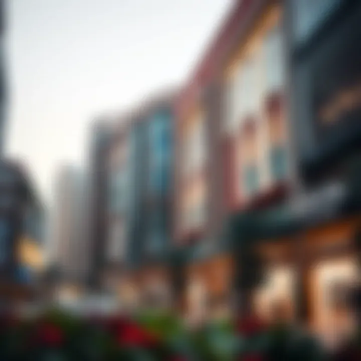 High-end shopping district filled with luxury brands