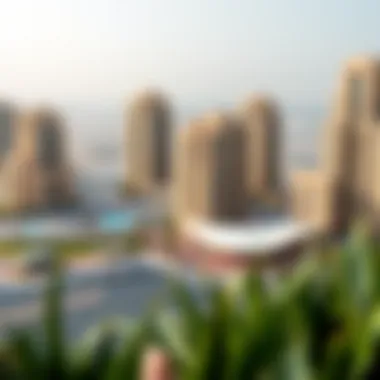 Future development plans for Mirdif Tulip, showcasing projected growth and urban planning