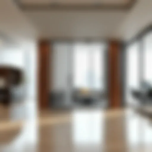 Exploring Partition Options for Rent in International City Introduction