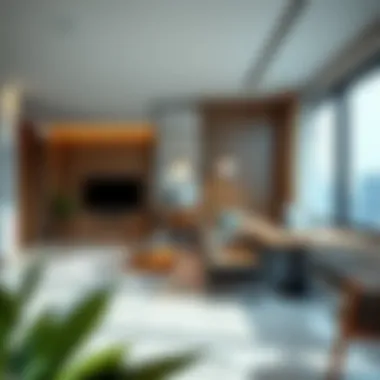 Exploring Partition Options for Rent in International City Summary