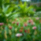 Lush greenery in Jebel Ali gardens showcasing diverse flora