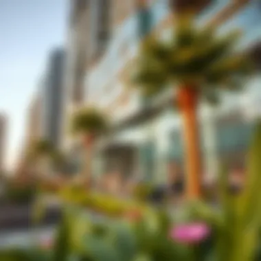 Vibrant Lifestyle in Jumeirah Lakes Towers Vibrant lifestyle scene in Jumeirah Lakes Towers with parks and leisure activities