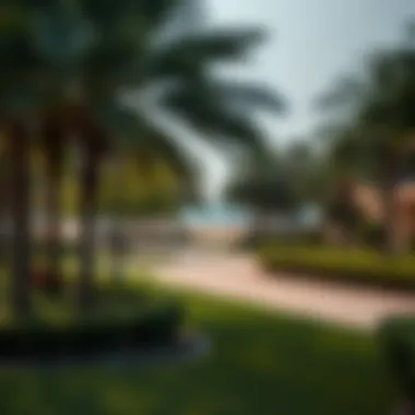 Lush Parks Surrounding Mamzar Beach The lush green parks surrounding Mamzar Beach, ideal for relaxation