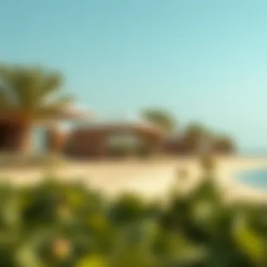 Eco-friendly installations at Hudayriat Island Beach promoting sustainability