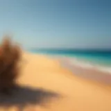 Scenic view of Hudayriat Island Beach showcasing golden sands and azure waters