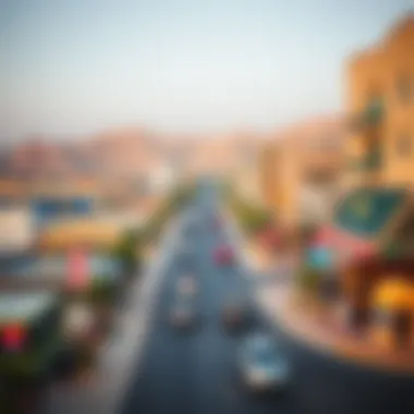 Analysis of socio-economic factors affecting Hatta's market