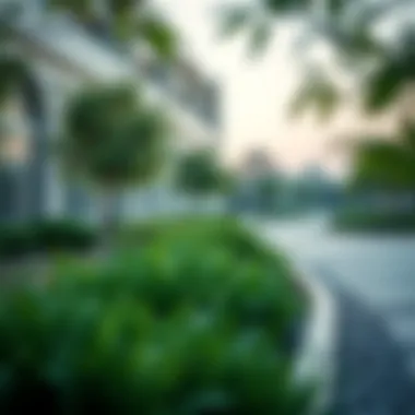 Sustainable landscaping within Masar by Arada featuring green spaces