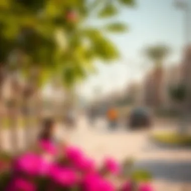 Community Life in Reem Al Falaj Vibrant community life in Reem Al Falaj with parks and recreational areas
