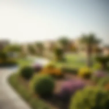 Community Landscaped Area Beautifully landscaped community area in Roda Amwaj