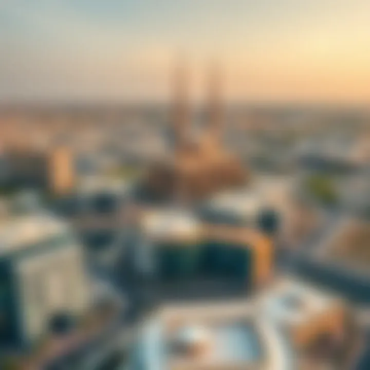 Aerial view of Shawamekh City showcasing its modern architecture and urban layout