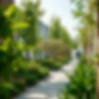 Sustainable Living through Community Green Spaces Community green spaces promoting sustainable living