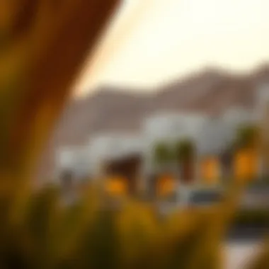 Investment Potential and Trends Investment potential and market trends in Valley Nara Emaar