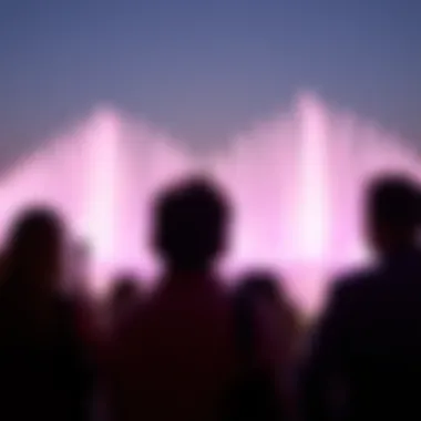 Spectators captivated by the water show performance